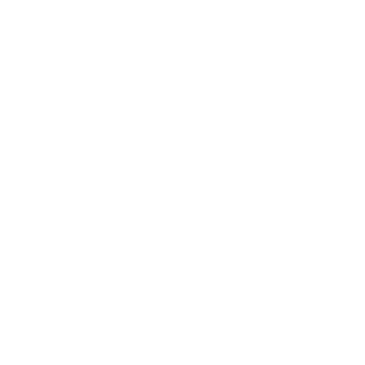 Auto Accident Attorneys